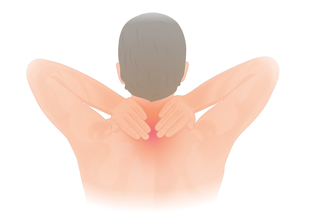 Read more about the article Essential Benefits of Physical Therapy In Eliminating Neck Pain.