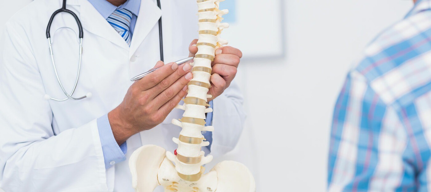 Read more about the article Understanding The Three Principles Of Chiropractic Care.